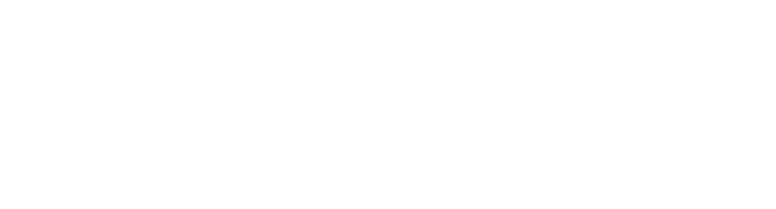 Witboost